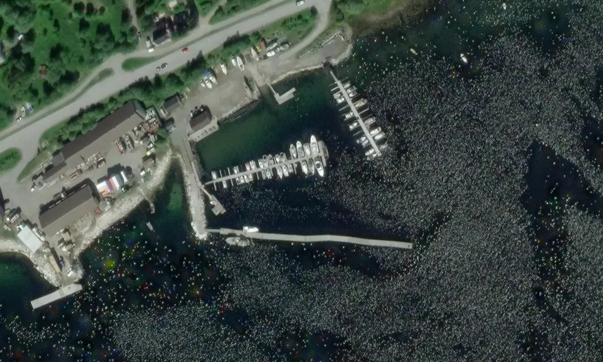 Satelite image of Fauske