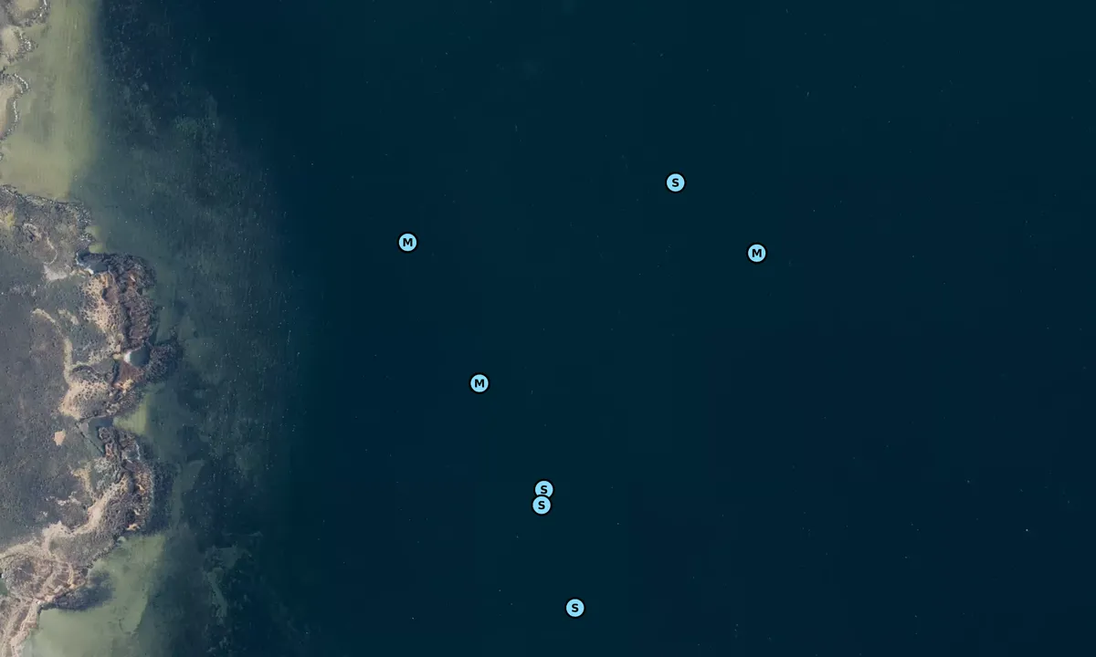Egevang: Satelite image of Feddet E - Fedhage bouy