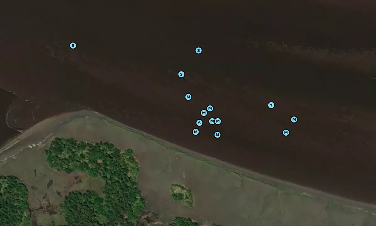 Satelite image of Fenwick Cut - 2