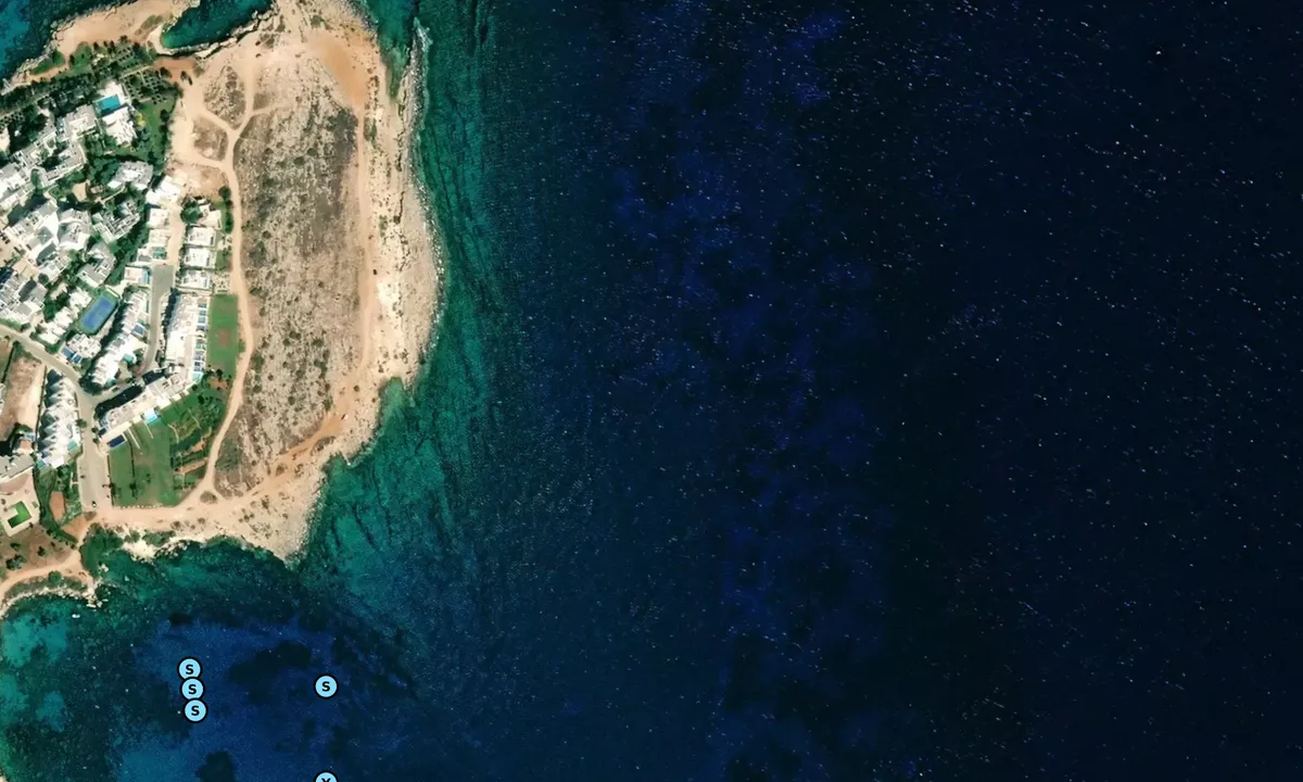 Satelite image of Fig Tree Bay