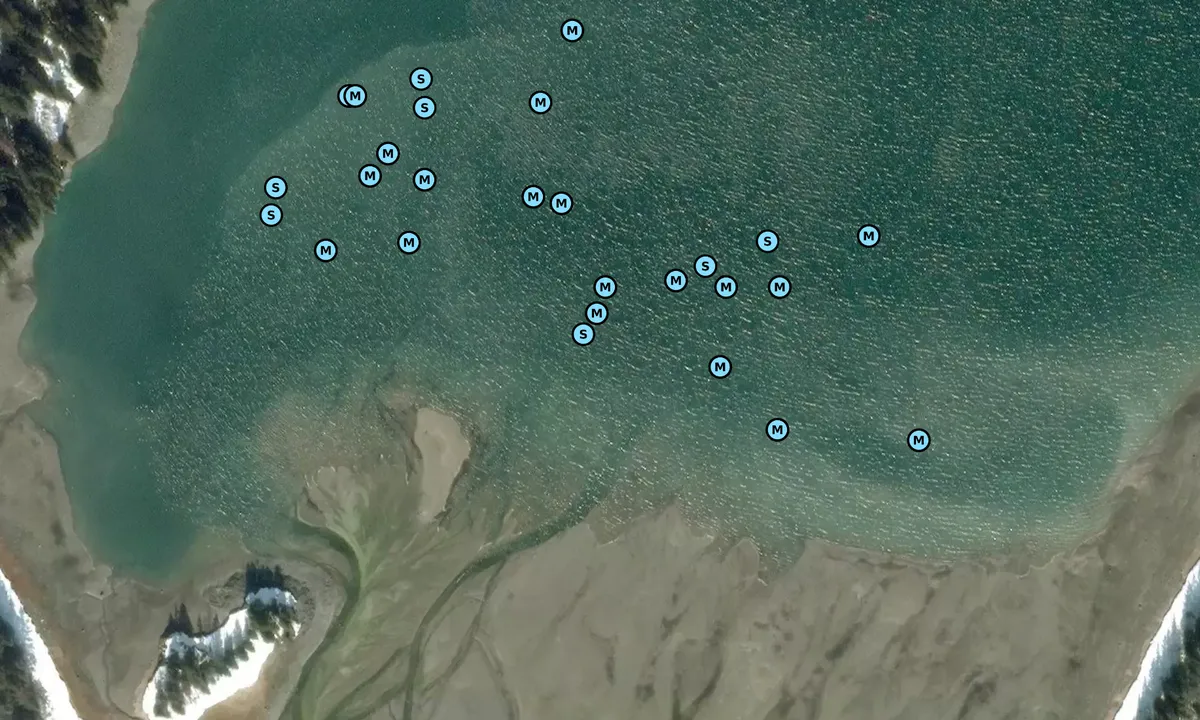 Satelite image of Fingers Bay North Arm