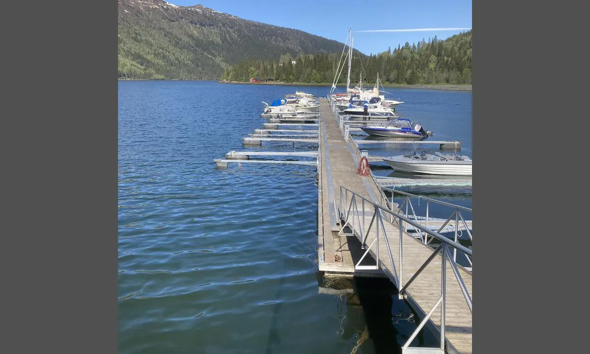 Finneidfjord: {"base": "no", "no": "Gjesteplassen longside p\u00e5 venstre side", "se": "G\u00e4stplatsen l\u00e5ngsides p\u00e5 v\u00e4nster sida", "en": "Guest berth alongside on the port side", "da": "G\u00e6stepladsen langsiden p\u00e5 venstre side", "fr": "Place pour visiteurs c\u00f4t\u00e9 long sur b\u00e2bord", "de": "G\u00e4steplatz l\u00e4ngsseits auf der linken Seite", "es": "Plaza para invitados de costado en el lado izquierdo", "it": "Posto per ospiti lungo il lato sinistro", "pt": "Lugar para visitantes ao longo do lado esquerdo", "nl": "De gastenplaats langs de linkerzijde", "pl": "Miejsce dla go\u015bci na lewej burcie", "uk": "\u041c\u0456\u0441\u0446\u0435 \u0434\u043b\u044f \u0433\u043e\u0441\u0442\u0435\u0439 \u0443\u0437\u0434\u043e\u0432\u0436 \u043b\u0456\u0432\u043e\u0433\u043e \u0431\u043e\u0440\u0442\u0443", "ro": "Locul de acostare pentru oaspe\u021bi este de-a lungul pe partea st\u00e2ng\u0103", "tr": "Misafir yeri sol tarafta k\u0131\u00e7tankara", "el": "\u0397 \u03b8\u03ad\u03c3\u03b7 \u03b5\u03c0\u03b9\u03c3\u03ba\u03b5\u03c0\u03c4\u03ce\u03bd \u03ba\u03b1\u03c4\u03ac \u03bc\u03ae\u03ba\u03bf\u03c2 \u03c3\u03c4\u03b7\u03bd \u03b1\u03c1\u03b9\u03c3\u03c4\u03b5\u03c1\u03ae \u03c0\u03bb\u03b5\u03c5\u03c1\u03ac", "cs": "Hostuj\u00edc\u00ed m\u00edsto longside na lev\u00e9 stran\u011b", "hu": "Vend\u00e9ghely bal oldal\u00e1n hossz\u00e1ban", "fi": "Vieraspaikka pitkitt\u00e4in vasemmalla puolella", "bg": "\u041c\u044f\u0441\u0442\u043e\u0442\u043e \u0437\u0430 \u0433\u043e\u0441\u0442\u0438 longside \u043e\u0442 \u043b\u044f\u0432\u0430\u0442\u0430 \u0441\u0442\u0440\u0430\u043d\u0430", "sr": "Pristani\u0161te za goste uz levu stranu", "et": "k\u00fclaliskoht vasakul k\u00fcljel kai \u00e4\u00e4res", "lv": "Viesu piest\u0101tne gar kreiso pusi", "lt": "Sve\u010di\u0173 vieta palei kair\u0119 pus\u0119"}