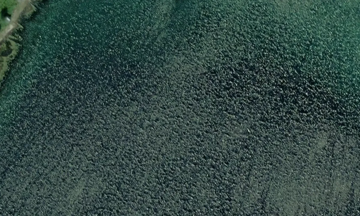 Satelite image of Finnlandsvika