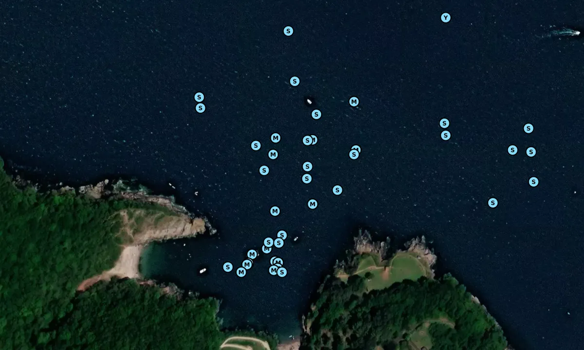 Satelite image of Fishcombe Cove, Tor Bay