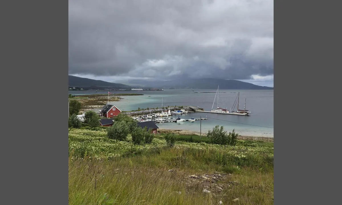 Fjelldal båtforening: overview