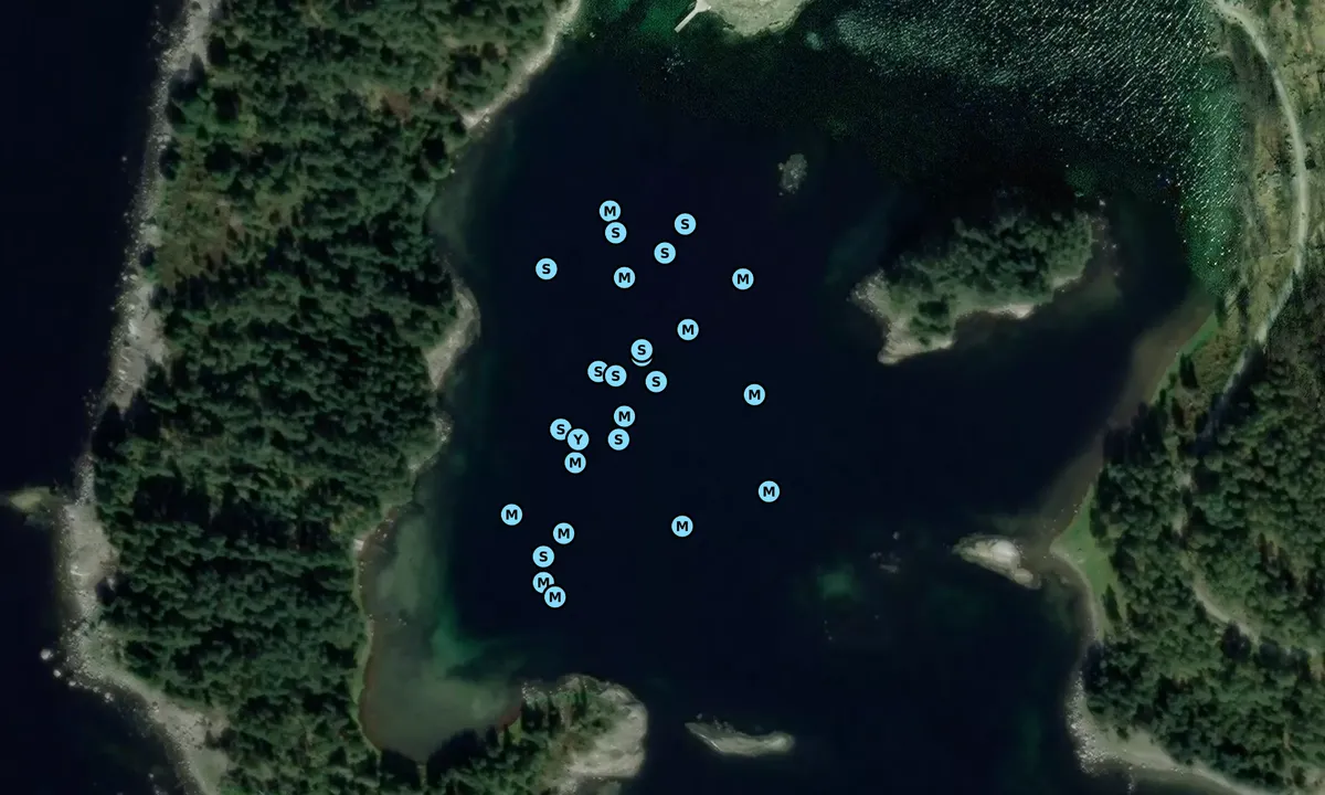 Satelite image of Fjellsholmen