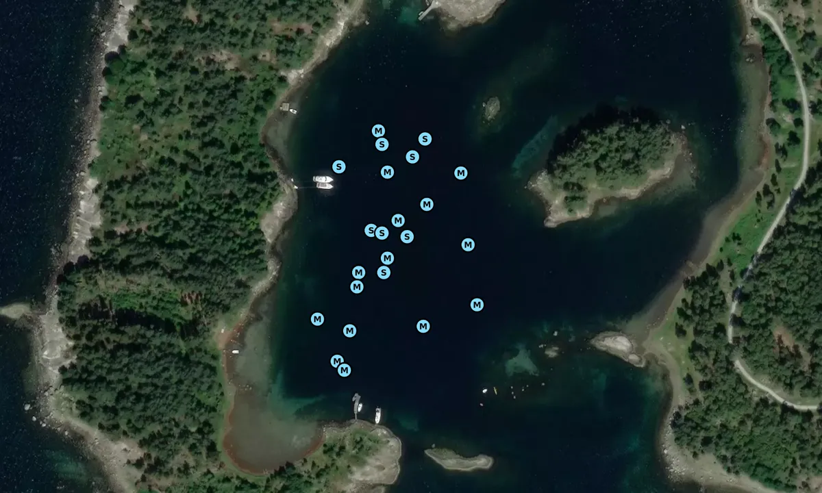 Satelite image of Fjellsholmen