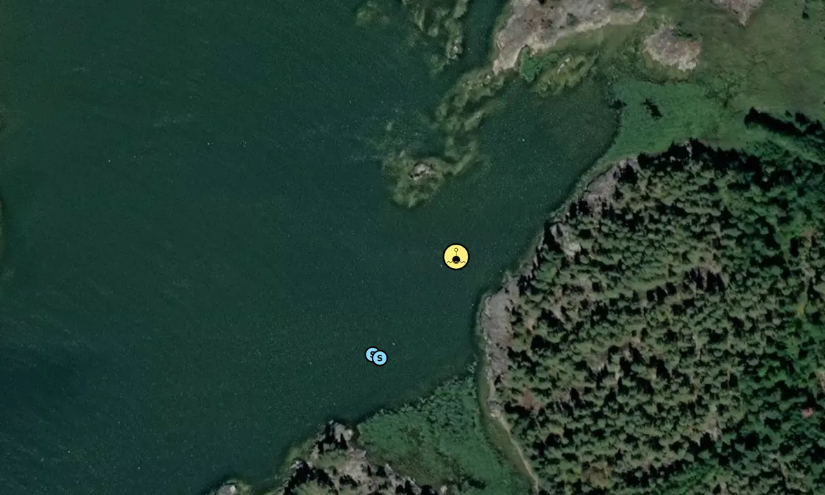 Satelite image of Flåviken - SXK Vänerkretsen bouy