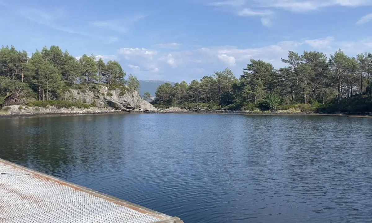 Fløholmen