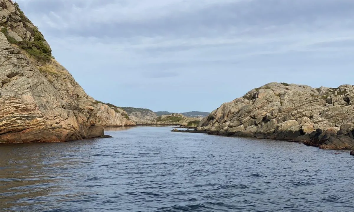 Innløpet til Fløyholmsundet