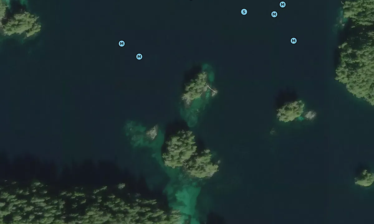 Satelite image of Folly Bird