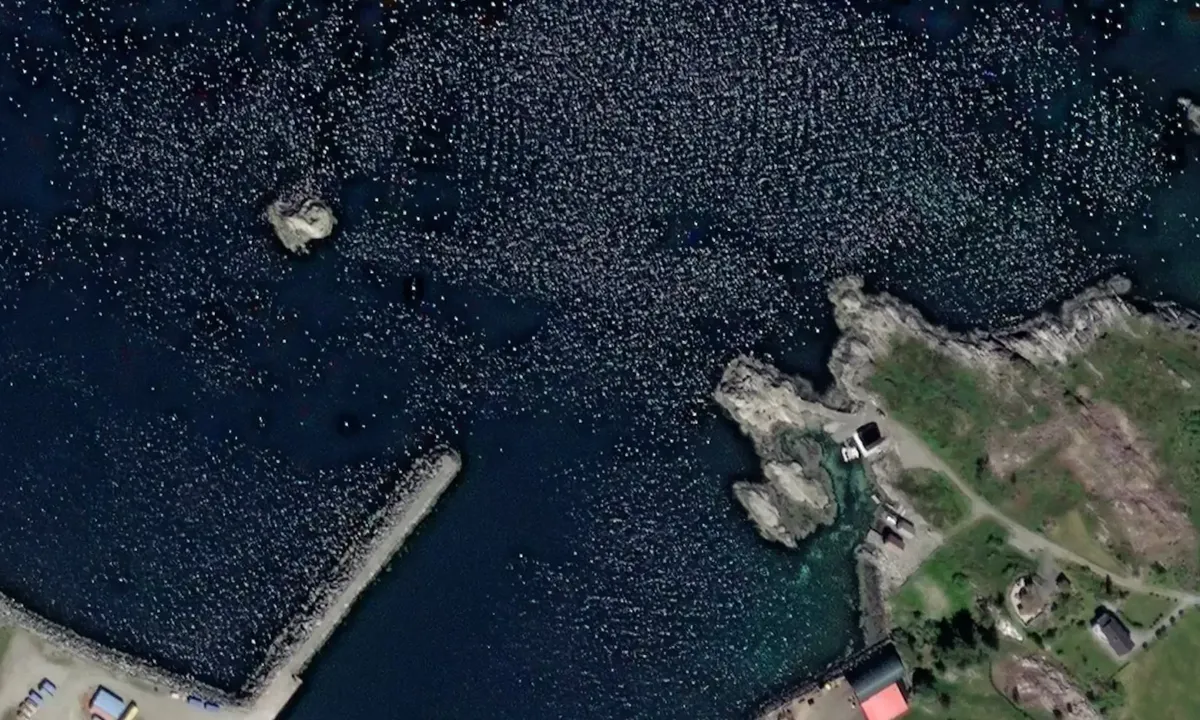 Satelite image of Fonnes Kai