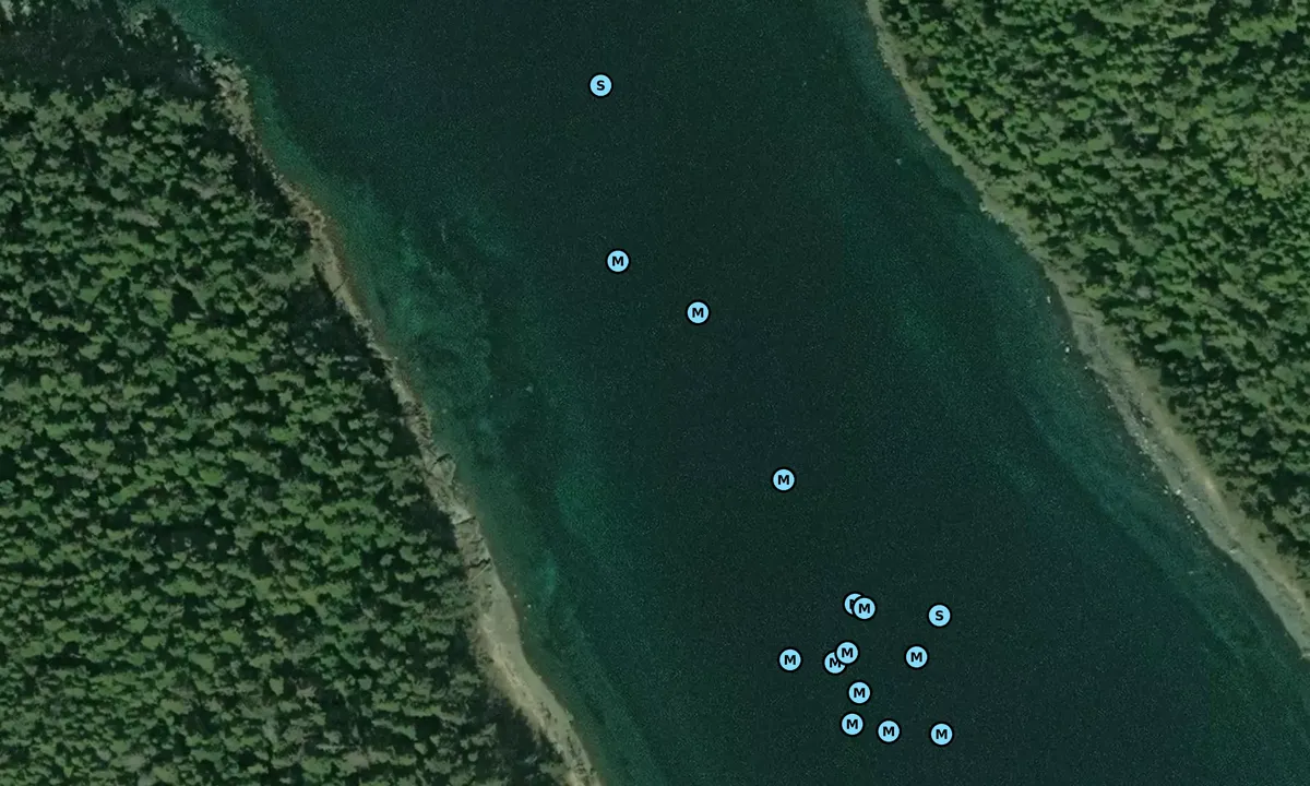 Satelite image of Foot Island