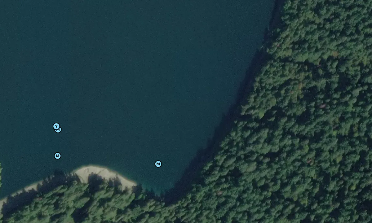 Satelite image of Forbes Bay South