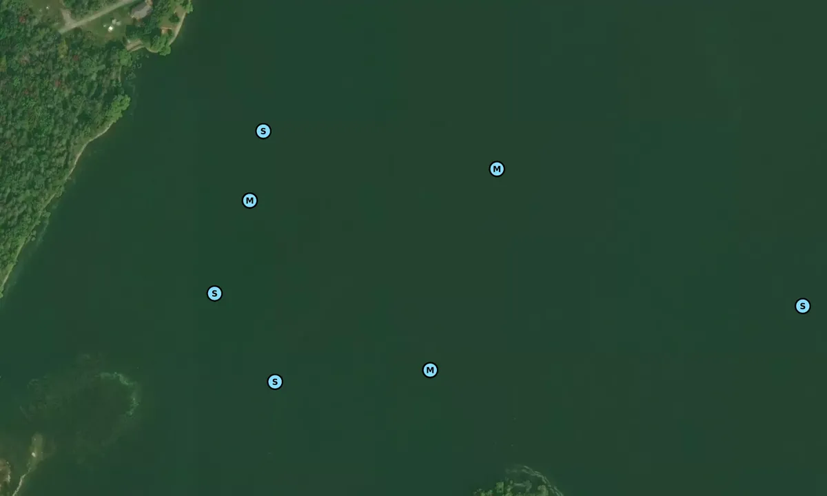 Satelite image of Foresters Island