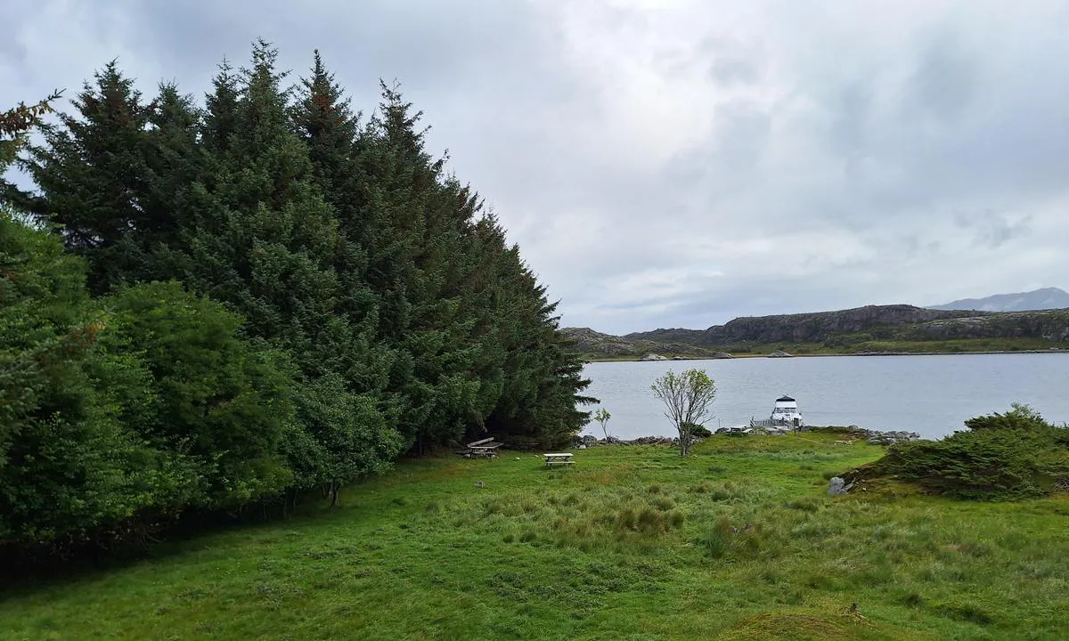 Forøya Friluftslivsområde: {"base": "no", "no": "Tr\u00e6r som lager le for nordavind.", "se": "Tr\u00e4d som ger l\u00e4 f\u00f6r nordvind.", "en": "Trees that provide shelter from the north wind.", "da": "Tr\u00e6er som giver l\u00e6 for nordenvind.", "fr": "Des arbres qui cr\u00e9ent un abri contre le vent du nord.", "de": "B\u00e4ume, die Schutz vor dem Nordwind bieten.", "es": "\u00c1rboles que crean abrigo contra el viento del norte.", "it": "Alberi che creano riparo dal vento del nord.", "pt": "\u00c1rvores que fornecem abrigo contra o vento norte.", "nl": "Bomen die beschutting bieden tegen de noordenwind.", "pl": "Drzewa, kt\u00f3re tworz\u0105 os\u0142on\u0119 przed p\u00f3\u0142nocnym wiatrem.", "uk": "\u0414\u0435\u0440\u0435\u0432\u0430, \u0449\u043e \u0441\u0442\u0432\u043e\u0440\u044e\u044e\u0442\u044c \u0437\u0430\u0441\u043b\u0456\u043d \u0432\u0456\u0434 \u043f\u0456\u0432\u043d\u0456\u0447\u043d\u043e\u0433\u043e \u0432\u0456\u0442\u0440\u0443.", "ro": "Copaci care ofer\u0103 ad\u0103post \u00eempotriva v\u00e2ntului de nord.", "tr": "Kuzey r\u00fczgar\u0131na kar\u015f\u0131 koruma sa\u011flayan a\u011fa\u00e7lar.", "el": "\u0394\u03ad\u03bd\u03c4\u03c1\u03b1 \u03c0\u03bf\u03c5 \u03c0\u03b1\u03c1\u03ad\u03c7\u03bf\u03c5\u03bd \u03ba\u03b1\u03c4\u03b1\u03c6\u03cd\u03b3\u03b9\u03bf \u03b1\u03c0\u03cc \u03c4\u03bf\u03bd \u03b2\u03cc\u03c1\u03b5\u03b9\u03bf \u03ac\u03bd\u03b5\u03bc\u03bf.", "cs": "Stromy, kter\u00e9 poskytuj\u00ed z\u00e1v\u011bt\u0159\u00ed proti severn\u00edmu v\u011btru.", "hu": "F\u00e1k, amelyek \u00e9szaki szelek ellen v\u00e9denek.", "fi": "Puita, jotka suojaavat pohjoistuulelta.", "bg": "\u0414\u044a\u0440\u0432\u0435\u0442\u0430, \u043a\u043e\u0438\u0442\u043e \u043e\u0441\u0438\u0433\u0443\u0440\u044f\u0432\u0430\u0442 \u0437\u0430\u0449\u0438\u0442\u0430 \u043e\u0442 \u0441\u0435\u0432\u0435\u0440\u043d\u0438\u044f \u0432\u044f\u0442\u044a\u0440.", "sr": "Drve\u0107e koje stvara zaklon od severnog vetra.", "et": "Puud, mis loovad varju p\u00f5hjak\u00fclma tuule eest.", "lv": "Koki, kas aizsarg\u0101 no zieme\u013cv\u0113ja.", "lt": "Med\u017eiai, kurie sukuria u\u017euov\u0117j\u0105 nuo \u0161iaur\u0117s v\u0117jo."}