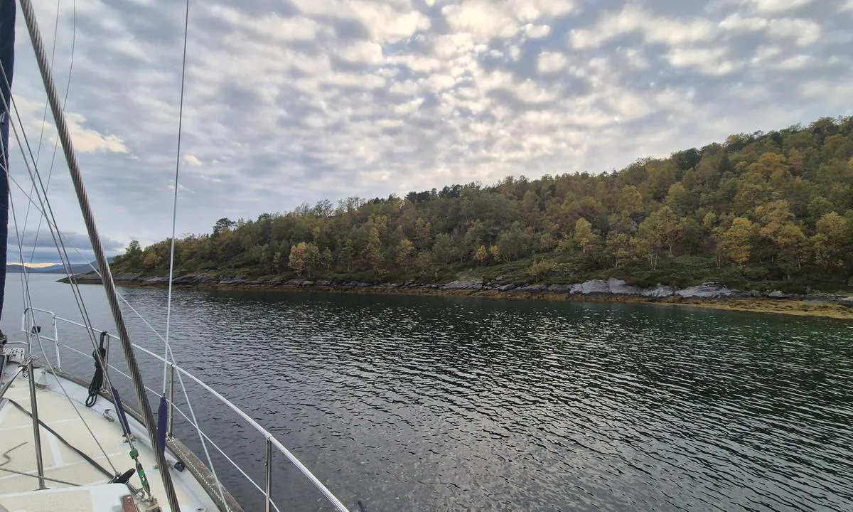 Forøya - Spildran: {"base": "en", "no": "For\u00f8ya sett fra ankringsstedet. Adgang til \u00f8ya er forbudt fra 01.05-15.07.", "se": "F\u00f6r\u00f8ya sett fr\u00e5n ankringsplatsen. Tilltr\u00e4de till \u00f6n \u00e4r f\u00f6rbjudet fr\u00e5n 01.05-15.07.", "en": "For\u00f8ya seen from the anchorage. Access to the Island is prohibited from 01.05-15.07.", "da": "For\u00f8ya set fra ankerpladsen. Adgang til \u00f8en er forbudt fra 01.05-15.07.", "fr": "For\u00f8ya vue de l'ancrage. L'acc\u00e8s \u00e0 l'\u00eele est interdit du 01.05 au 15.07.", "de": "For\u00f8ya vom Ankerplatz aus gesehen. Zugang zur Insel ist vom 01.05-15.07. verboten.", "es": "For\u00f8ya vista desde el fondeadero. El acceso a la isla est\u00e1 prohibido del 01.05 al 15.07.", "it": "For\u00f8ya vista dall'ancoraggio. L'accesso all'isola \u00e8 vietato dal 01.05 al 15.07.", "pt": "For\u00f8ya vista da ancoragem. O acesso \u00e0 Ilha \u00e9 proibido de 01.05-15.07.", "nl": "For\u00f8ya gezien vanaf het ankergebied. Toegang tot het eiland is verboden van 01.05-15.07.", "pl": "For\u00f8ya widziana z kotwicowiska. Dost\u0119p do wyspy jest zabroniony od 01.05 do 15.07.", "uk": "For\u00f8ya, \u0432\u0438\u0434\u043d\u043e \u0437 \u044f\u043a\u043e\u0440\u043d\u043e\u0457 \u0441\u0442\u043e\u044f\u043d\u043a\u0438. \u0414\u043e\u0441\u0442\u0443\u043f \u043d\u0430 \u043e\u0441\u0442\u0440\u0456\u0432 \u0437\u0430\u0431\u043e\u0440\u043e\u043d\u0435\u043d\u0438\u0439 \u0437 01.05 \u0434\u043e 15.07.", "ro": "For\u00f8ya v\u0103zut\u0103 din ancoraj. Accesul pe insul\u0103 este interzis \u00een perioada 01.05-15.07.", "tr": "For\u00f8ya demirleme yerinden g\u00f6r\u00fcn\u00fcm. Adaya eri\u015fim 01.05-15.07 tarihleri aras\u0131nda yasakt\u0131r.", "el": "\u0397 For\u00f8ya \u03cc\u03c0\u03c9\u03c2 \u03c6\u03b1\u03af\u03bd\u03b5\u03c4\u03b1\u03b9 \u03b1\u03c0\u03cc \u03c4\u03bf \u03b1\u03b3\u03ba\u03c5\u03c1\u03bf\u03b2\u03cc\u03bb\u03b9\u03bf. \u0397 \u03c0\u03c1\u03cc\u03c3\u03b2\u03b1\u03c3\u03b7 \u03c3\u03c4\u03bf \u03bd\u03b7\u03c3\u03af \u03b1\u03c0\u03b1\u03b3\u03bf\u03c1\u03b5\u03cd\u03b5\u03c4\u03b1\u03b9 \u03b1\u03c0\u03cc 01.05-15.07.", "cs": "For\u00f8ya vid\u011bn\u00e1 z kotvi\u0161t\u011b. P\u0159\u00edstup na ostrov je zak\u00e1z\u00e1n od 01.05 do 15.07.", "hu": "A For\u00f8ya l\u00e1that\u00f3 a horgonyz\u00f3helyr\u0151l. A szigetre val\u00f3 bel\u00e9p\u00e9s tilos 05.01-07.15 k\u00f6z\u00f6tt.", "fi": "For\u00f8ya n\u00e4htyn\u00e4 ankkuripaikalta. P\u00e4\u00e4sy saarelle on kielletty 01.05-15.07.", "bg": "\u041e\u0441\u0442\u0440\u043e\u0432 For\u00f8ya, \u0432\u0438\u0434\u044f\u043d \u043e\u0442 \u043c\u044f\u0441\u0442\u043e\u0442\u043e \u0437\u0430 \u043a\u043e\u0442\u0432\u0435\u043d\u0435. \u0414\u043e\u0441\u0442\u044a\u043f\u044a\u0442 \u0434\u043e \u043e\u0441\u0442\u0440\u043e\u0432\u0430 \u0435 \u0437\u0430\u0431\u0440\u0430\u043d\u0435\u043d \u043e\u0442 01.05 \u0434\u043e 15.07.", "sr": "For\u00f8ya vi\u0111ena sa sidri\u0161ta. Pristup ostrvu je zabranjen od 01.05-15.07.", "et": "For\u00f8ya vaadatuna ankrualalt. Saar on ligip\u00e4\u00e4smatu 01.05-15.07.", "lv": "For\u00f8ya redzams no enkuro\u0161an\u0101s vietas. Piek\u013cuve salai ir aizliegta no 01.05 l\u012bdz 15.07.", "lt": "For\u00f8ya matoma i\u0161 inkaravimo vietos. Patekimas \u012f sal\u0105 draud\u017eiamas nuo 01.05 iki 15.07."}