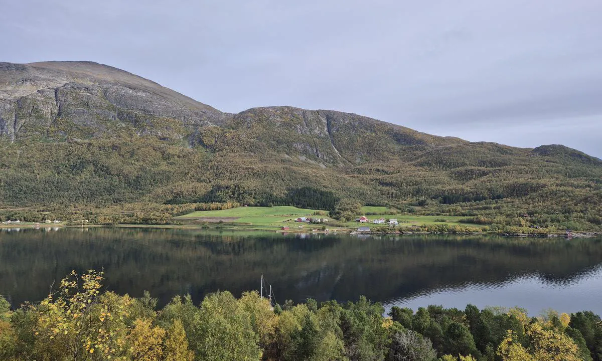 Forøya - Spildran: {"base": "en", "no": "Ser p\u00e5 bukten (\u00f8st) fra For\u00f8ya", "se": "Tittar p\u00e5 bukten (\u00f6ster) fr\u00e5n For\u00f8ya", "en": "Looking at the bay (east) from For\u00f8ya", "da": "Udsigt over bugten (\u00f8st) fra For\u00f8ya", "fr": "Vue sur la baie (\u00e0 l'est) depuis For\u00f8ya", "de": "Blick auf die Bucht (Osten) von For\u00f8ya", "es": "Mirando la bah\u00eda (este) desde For\u00f8ya", "it": "Guardando la baia (est) da For\u00f8ya", "pt": "Olhando para a ba\u00eda (leste) de For\u00f8ya", "nl": "Kijkend naar de baai (oost) vanaf For\u00f8ya", "pl": "Patrz\u0105c na zatok\u0119 (na wsch\u00f3d) z For\u00f8ya", "uk": "\u0414\u0438\u0432\u043b\u044f\u0447\u0438\u0441\u044c \u043d\u0430 \u0437\u0430\u0442\u043e\u043a\u0443 (\u0441\u0445\u0456\u0434) \u0437 For\u00f8ya", "ro": "Privind spre golf (est) de pe For\u00f8ya", "tr": "For\u00f8ya'dan koyun (do\u011fu) g\u00f6r\u00fcn\u00fcm\u00fc", "el": "\u039a\u03bf\u03b9\u03c4\u03ac\u03b6\u03bf\u03bd\u03c4\u03b1\u03c2 \u03c4\u03bf\u03bd \u03ba\u03cc\u03bb\u03c0\u03bf (\u03b1\u03bd\u03b1\u03c4\u03bf\u03bb\u03b9\u03ba\u03ac) \u03b1\u03c0\u03cc \u03c4\u03bf For\u00f8ya", "cs": "Pohled na z\u00e1toku (v\u00fdchod) z For\u00f8ya", "hu": "A For\u00f8ya (keletr\u0151l) n\u00e9zve a kik\u00f6t\u0151re", "fi": "Katsoessasi lahtea (it\u00e4) For\u00f8yan suunnasta", "bg": "\u0413\u043b\u0435\u0434\u0430\u0439\u043a\u0438 \u043a\u044a\u043c \u0437\u0430\u043b\u0438\u0432\u0430 (\u0438\u0437\u0442\u043e\u043a) \u043e\u0442 \u043e\u0441\u0442\u0440\u043e\u0432 \u0424\u043e\u0440\u043e\u044f", "sr": "Gledaju\u0107i ka zalivu (istok) sa For\u00f8ya", "et": "Vaade lahele (ida poole) For\u00f8ya saarelt", "lv": "Paveroties uz l\u012bci (austrumos) no For\u00f8ya", "lt": "\u017di\u016brint \u012f \u012flank\u0105 (\u012f rytus) nuo For\u00f8ya"}