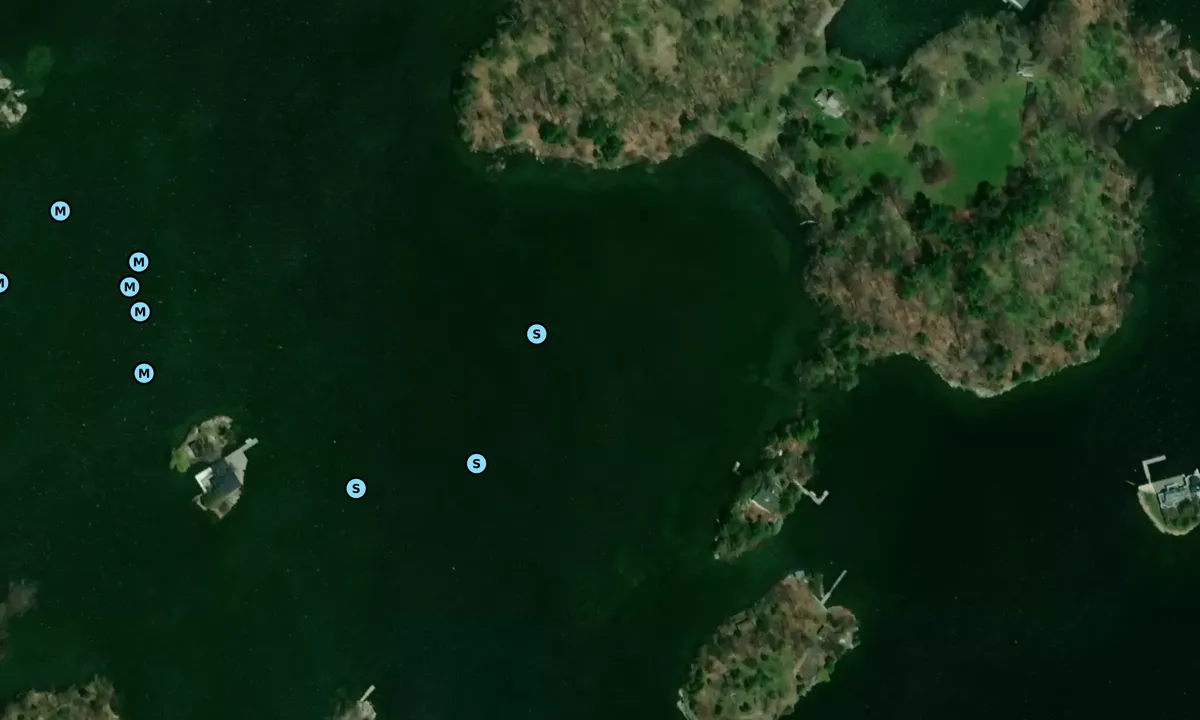 Satelite image of Forsyth West