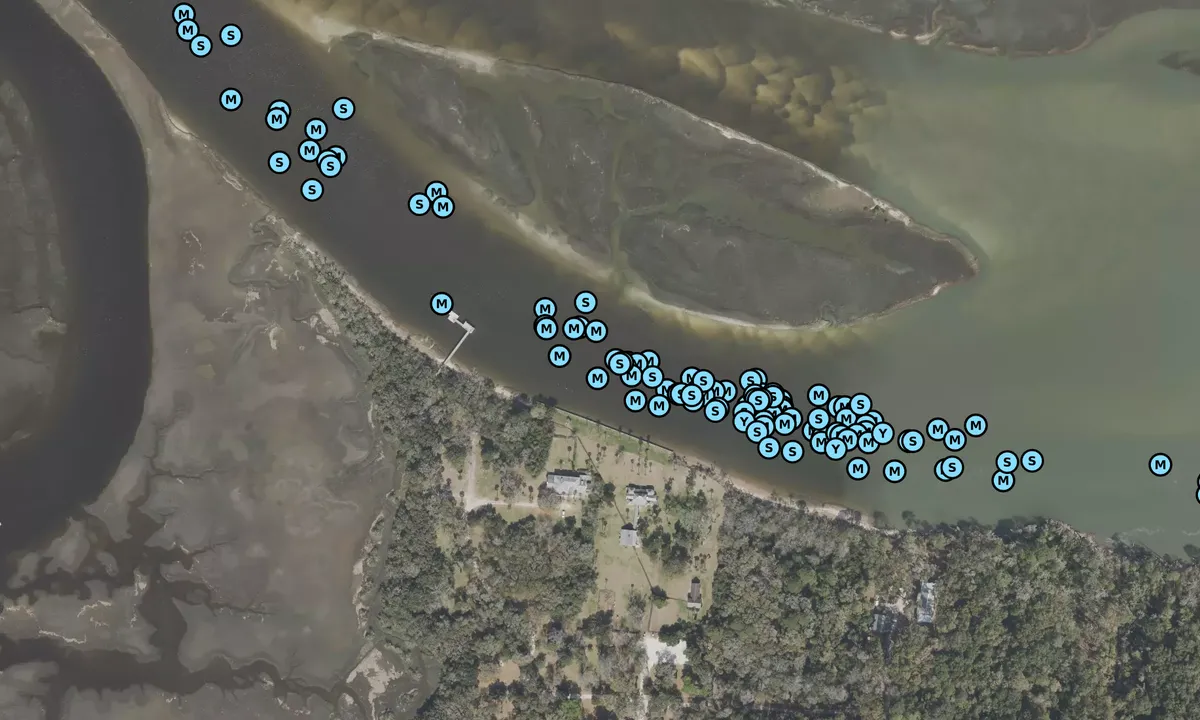 Satelite image of Fort George River