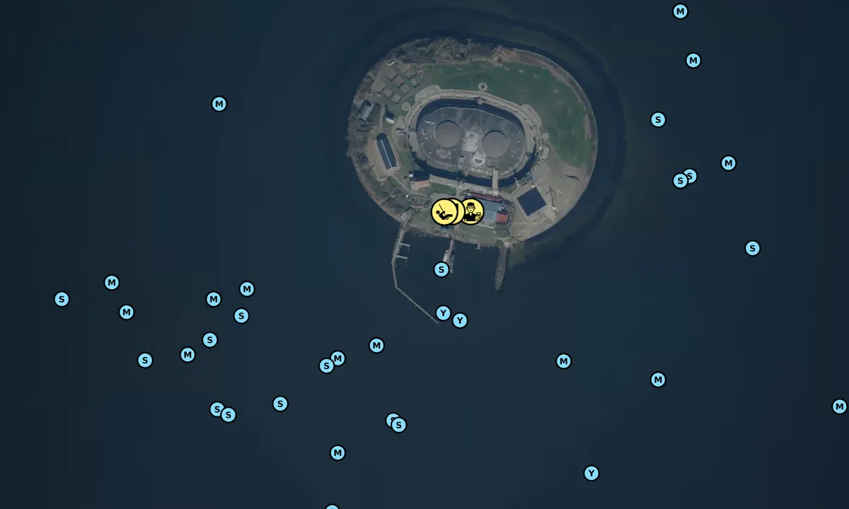 Satelite image of Fort Island Pampus