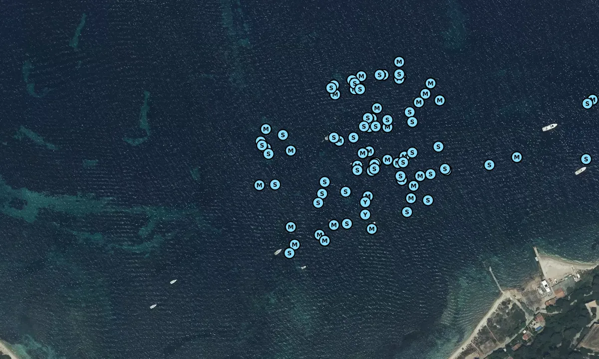 Satelite image of Fort Sainte-Marguerite
