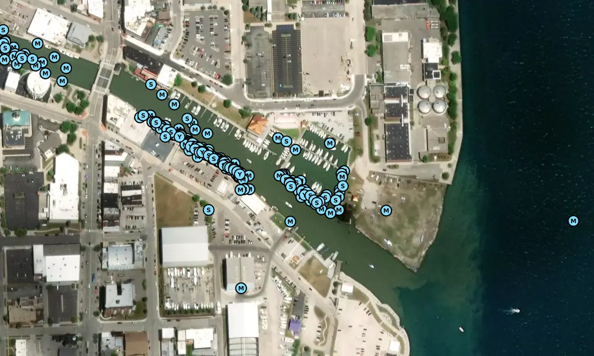 Satelite image of Fort Street Docks