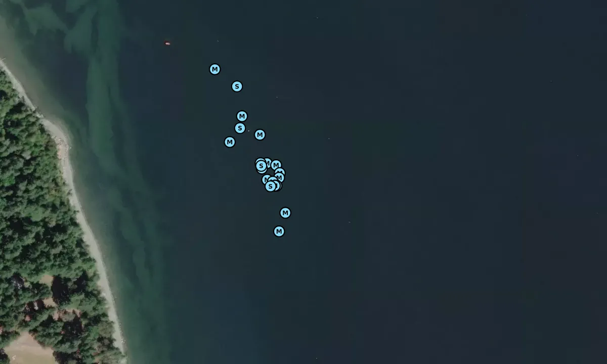 Satelite image of Fort Townsend State Park (moorings)