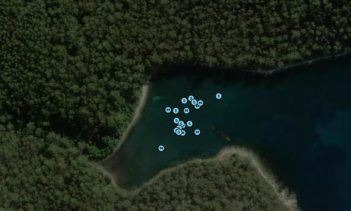 Satelite image of Fortescue bay.