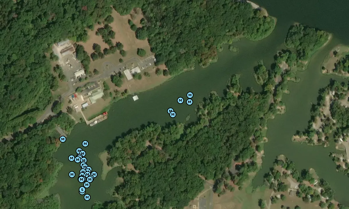 Satelite image of Foscue Creek