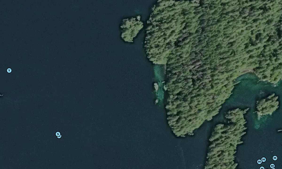 Satelite image of Fougner Bay