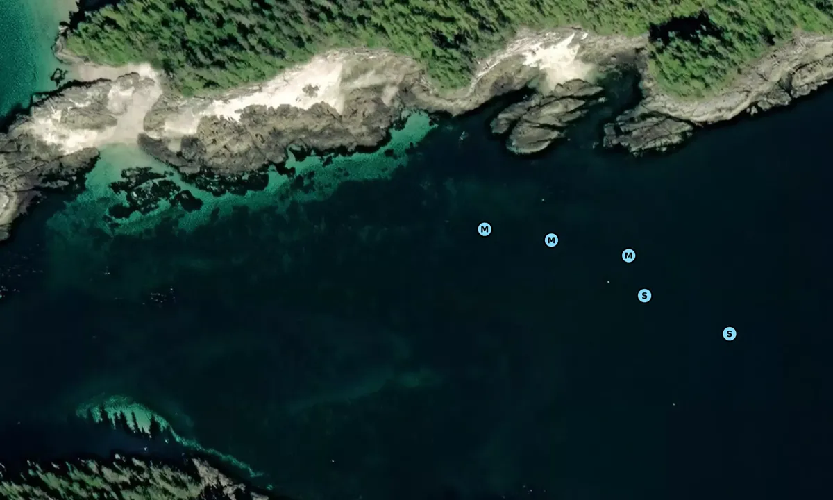 Satelite image of Fox Island