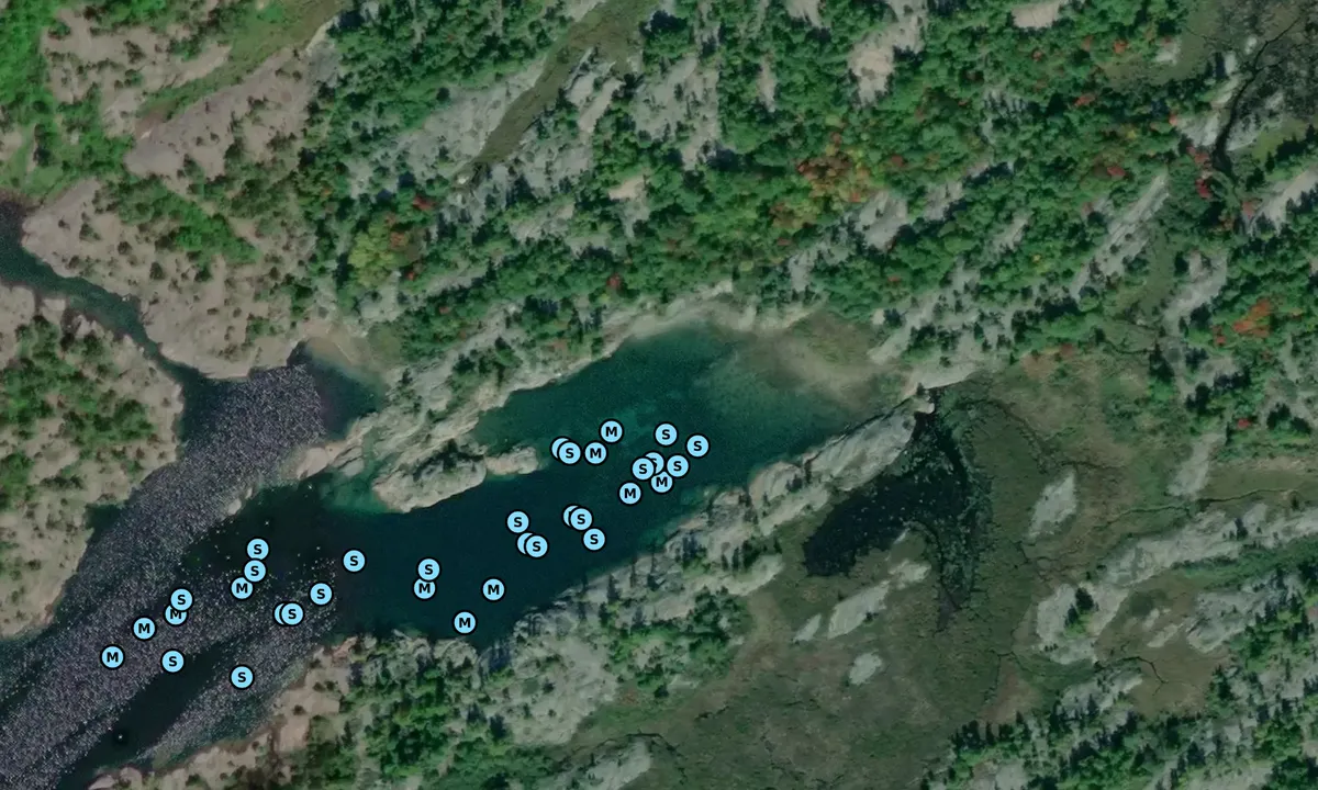 Satelite image of Fox Island Harbour