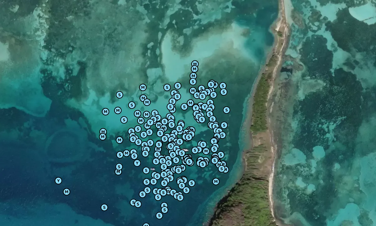 Satelite image of Frigate Island