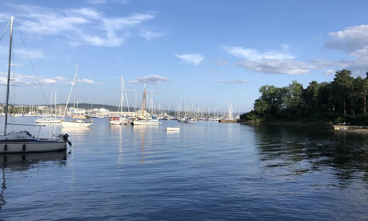 På fine sommerdager kan det bli ganske fullt med båter på svai i Frognerkilen. Du kan ta jolla inn til Frognerstranda eller Bygdøy.