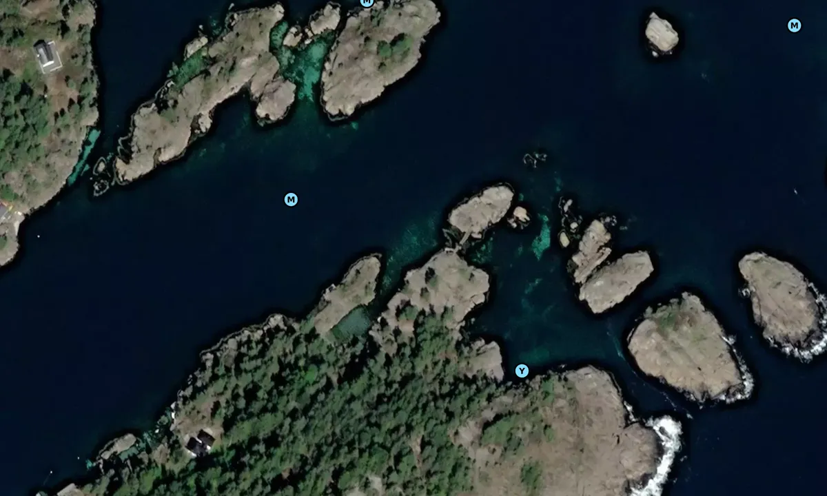 Satelite image of Fugløya - Vestre Sandøya