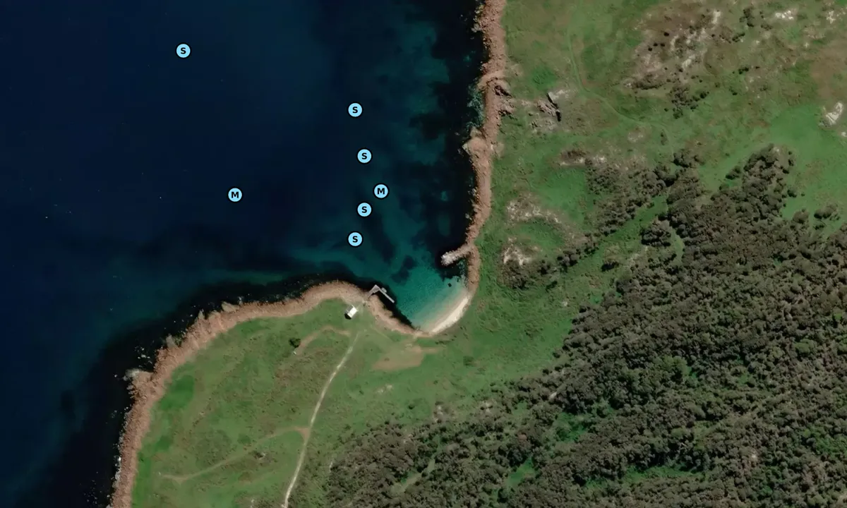 Satelite image of Gabo Island