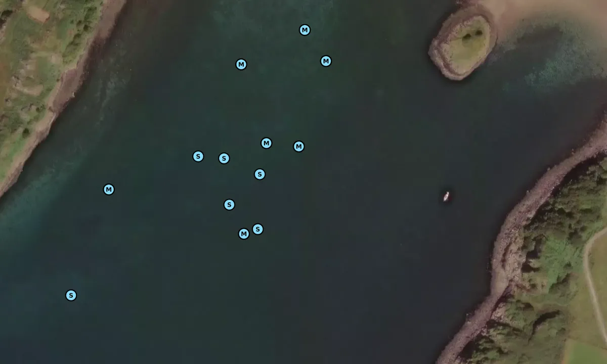 Satelite image of Gallanach Bay, Loch Crinan