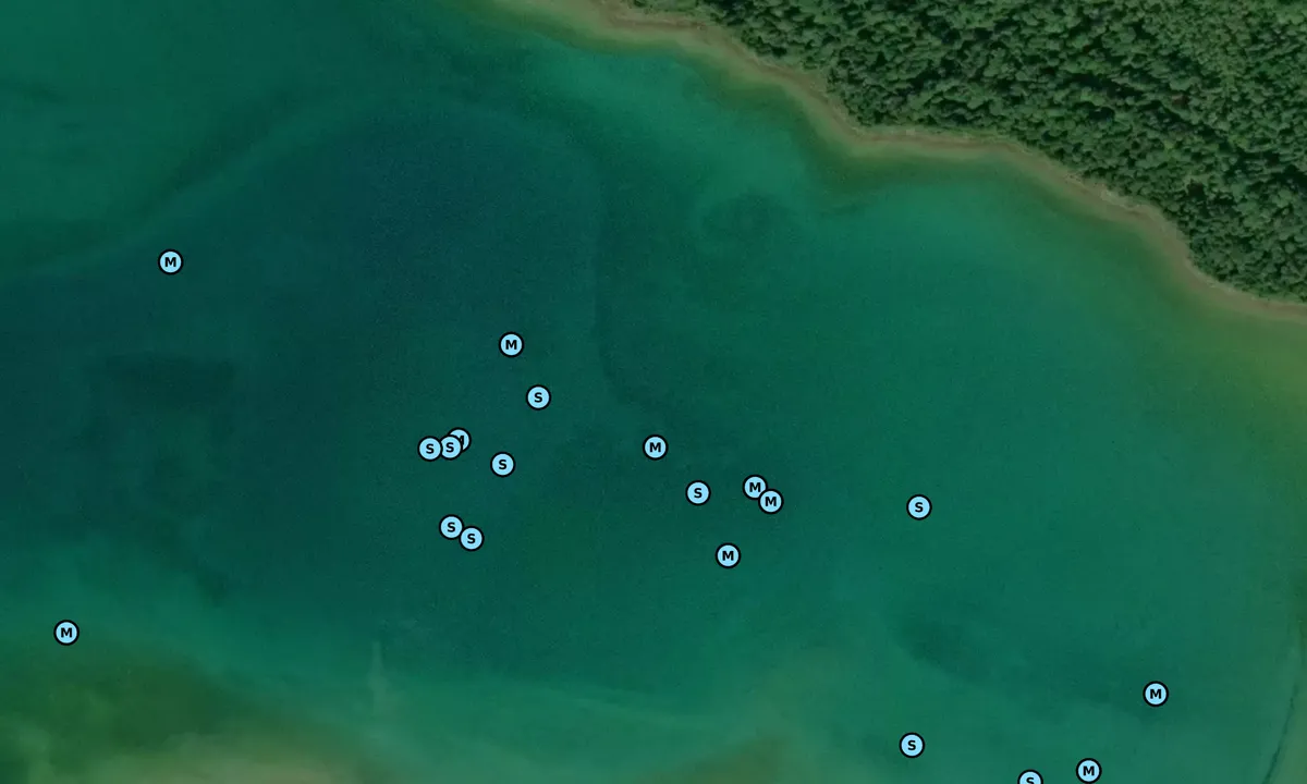 Satelite image of Garden Island