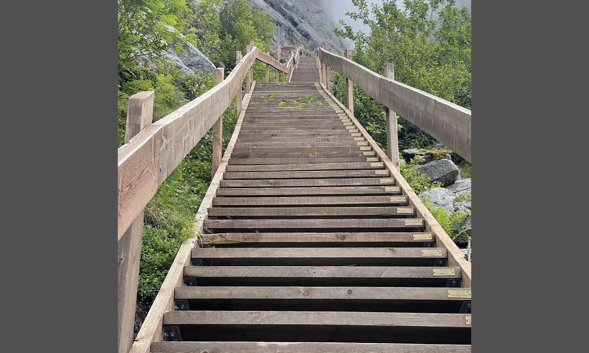 Gardsøya Gjestehavn: Vegatrappa ligger bare ca 45 min rolig sykling unna. Vel verdt et besøk.