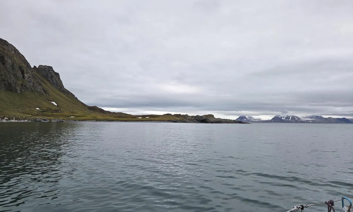 Gåsbergodden: {"base": "no", "no": "N\u00e6rbilde av vika.", "se": "N\u00e4rbild av viken.", "en": "Close-up of the cove.", "da": "N\u00e6rbillede af vigen.", "fr": "Vue rapproch\u00e9e de la crique.", "de": "Nahaufnahme der Bucht.", "es": "Vista cercana de la bah\u00eda.", "it": "Primo piano della baia.", "pt": "Vista de perto da enseada.", "nl": "Dichtbijbeeld van de baai.", "pl": "Zbli\u017cenie na zatok\u0119.", "uk": "\u041a\u0440\u0443\u043f\u043d\u0438\u0439 \u043f\u043b\u0430\u043d \u0437\u0430\u0442\u043e\u043a\u0438.", "ro": "Prim-plan al golfule\u021bului.", "tr": "Koyun yak\u0131n \u00e7ekim g\u00f6r\u00fcnt\u00fcs\u00fc.", "el": "\u039a\u03bf\u03bd\u03c4\u03b9\u03bd\u03ae \u03ac\u03c0\u03bf\u03c8\u03b7 \u03c4\u03bf\u03c5 \u03ba\u03cc\u03bb\u03c0\u03bf\u03c5.", "cs": "Detailn\u00ed pohled na z\u00e1toku.", "hu": "K\u00f6zeli k\u00e9p az \u00f6bl\u00f6t.", "fi": "L\u00e4hikuva lahdesta.", "bg": "\u0411\u043b\u0438\u0437\u044a\u043a \u043f\u043b\u0430\u043d \u043d\u0430 \u0437\u0430\u043b\u0438\u0432\u0430.", "sr": "\u041a\u0440\u0443\u043f\u043d\u0438 \u043f\u043b\u0430\u043d \u0443\u0432\u0430\u043b\u0435.", "et": "L\u00e4hivaade lahele.", "lv": "Tuvpl\u0101ns no l\u012b\u010da.", "lt": "Artima \u012flankos nuotrauka."}