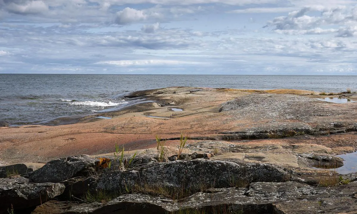 Gåsgrundet