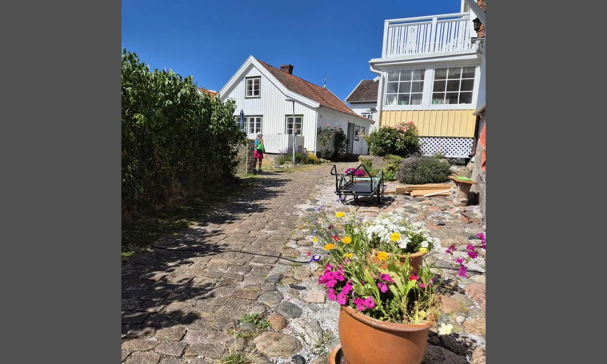 Gåsö hamn: {"base": "da", "no": "Bebyggelsen med brosteinslagte stier", "se": "Bebyggelsen med kullerstenslagda stigar", "en": "The settlement with cobblestone paths", "da": "Bebyggelsen med brostenslagte stier", "fr": "Les b\u00e2timents avec des sentiers pav\u00e9s", "de": "Die Bebauung mit Kopfsteinpflasterwegen", "es": "La construcci\u00f3n con caminos empedrados", "it": "L'insediamento con sentieri lastricati in ciottoli", "pt": "A constru\u00e7\u00e3o com caminhos pavimentados com pedras", "nl": "De bebouwing met geplaveide paden", "pl": "Zabudowa z brukowanymi \u015bcie\u017ckami", "uk": "\u0411\u0443\u0434\u0456\u0432\u043b\u0456 \u0437 \u0431\u0440\u0443\u043a\u043e\u0432\u0430\u043d\u0438\u043c\u0438 \u0434\u043e\u0440\u0456\u0436\u043a\u0430\u043c\u0438", "ro": "A\u0219ezarea cu poteci pavate cu piatr\u0103 cubic\u0103", "tr": "Kald\u0131r\u0131m ta\u015flar\u0131 ile d\u00f6\u015fenmi\u015f yollar", "el": "\u0397 \u03b4\u03cc\u03bc\u03b7\u03c3\u03b7 \u03bc\u03b5 \u03bb\u03b9\u03b8\u03cc\u03c3\u03c4\u03c1\u03c9\u03c4\u03b1 \u03bc\u03bf\u03bd\u03bf\u03c0\u03ac\u03c4\u03b9\u03b1", "cs": "Z\u00e1stavba s dl\u00e1\u017ed\u011bn\u00fdmi stezkami", "hu": "A macskak\u00f6ves utakkal rendelkez\u0151 telep\u00fcl\u00e9s", "fi": "Rakennukset mukulakivipoluilla", "bg": "\u0417\u0430\u0441\u0442\u0440\u043e\u044f\u0432\u0430\u043d\u0435\u0442\u043e \u0441 \u043a\u0430\u043b\u0434\u044a\u0440\u044a\u043c\u0435\u043d\u0438 \u043f\u044a\u0442\u0435\u043a\u0438", "sr": "Naselje sa kaldrmisanim stazama", "et": "Asula, millel on munakividega kaetud rajad", "lv": "Apb\u016bve ar bru\u0123\u0113tiem celi\u0146iem", "lt": "Gyvenviet\u0117 su akmenimis gr\u012fstais takais"}