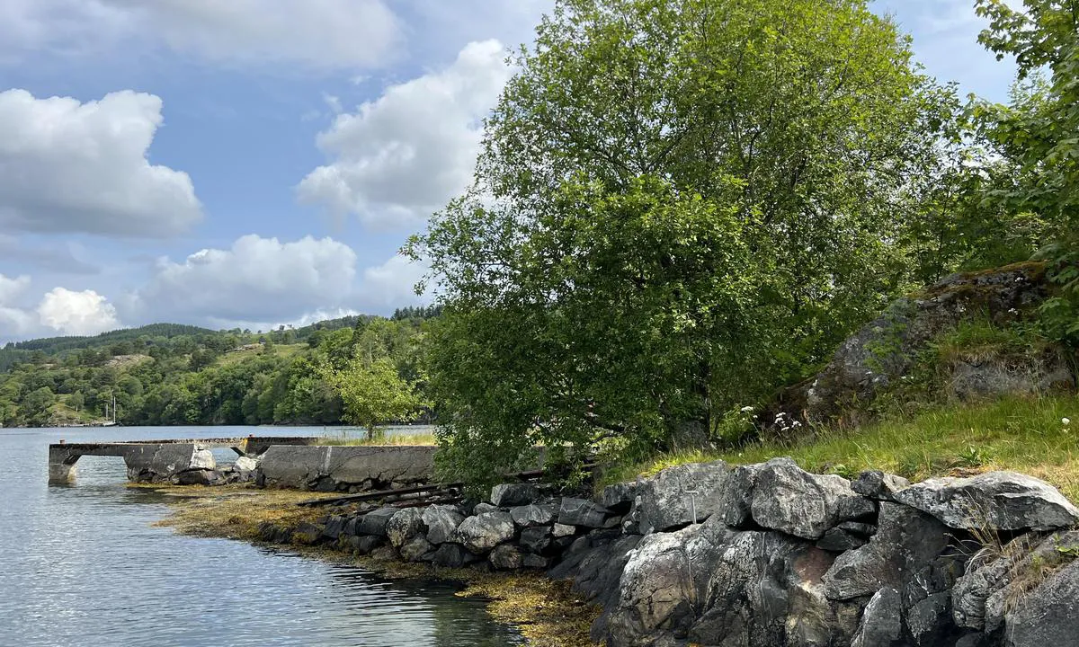 Geitøy i Alverstraumen