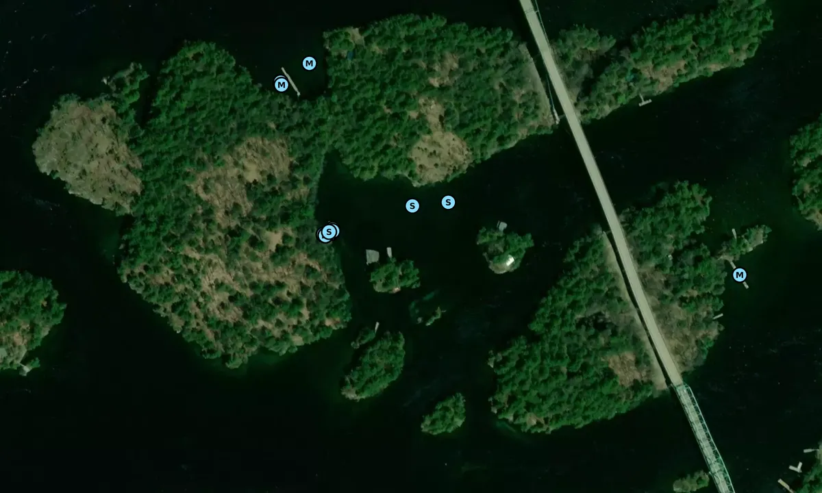 Satelite image of Georgina Island