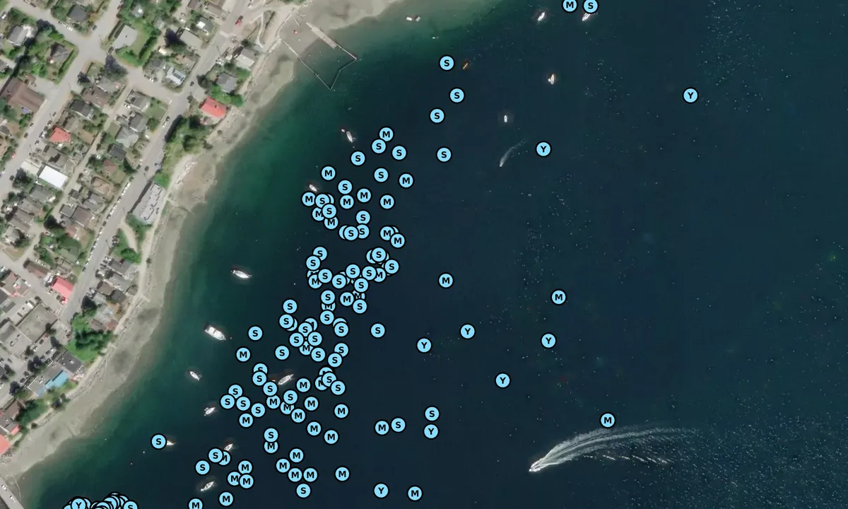 Satelite image of Gibsons Bay