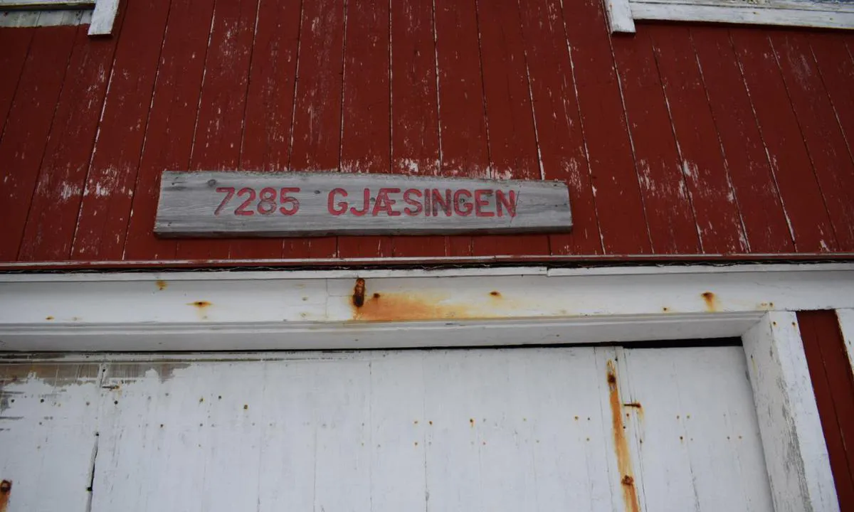 Gjæsingen