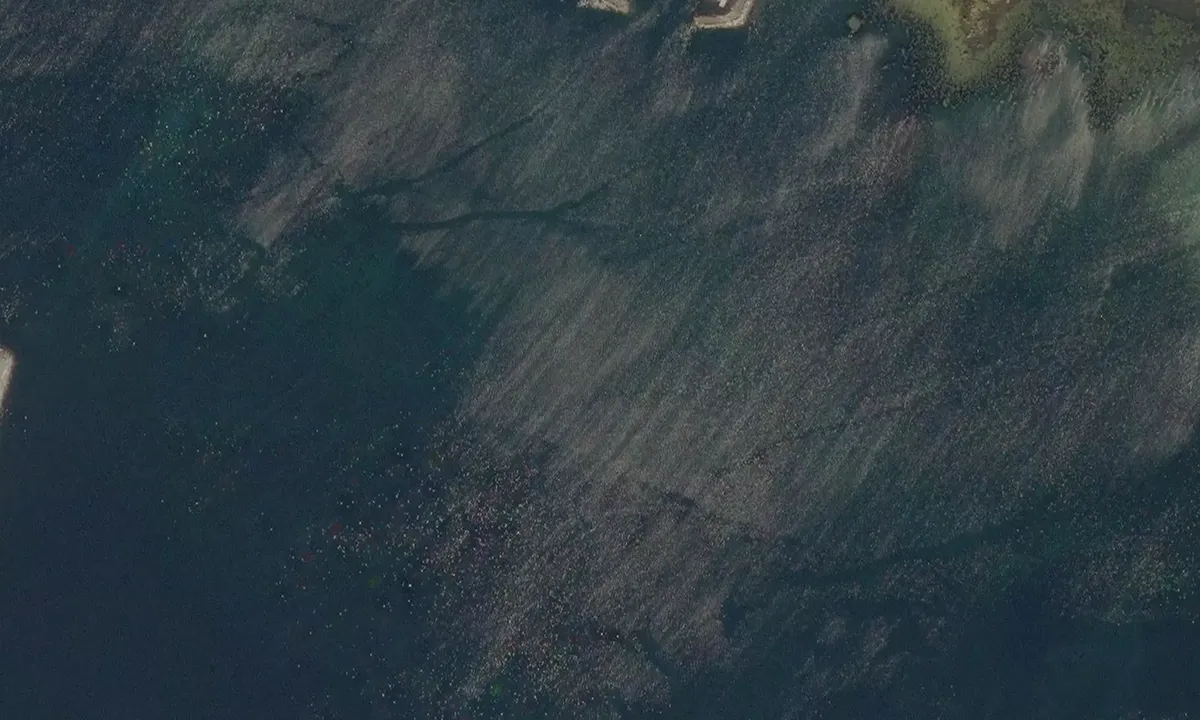 Satelite image of Gjerdsvika