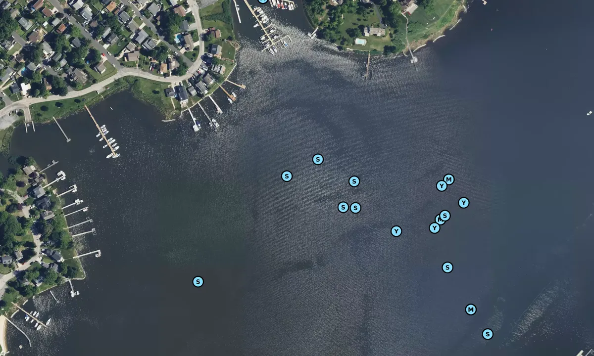 Satelite image of Glebe Bay