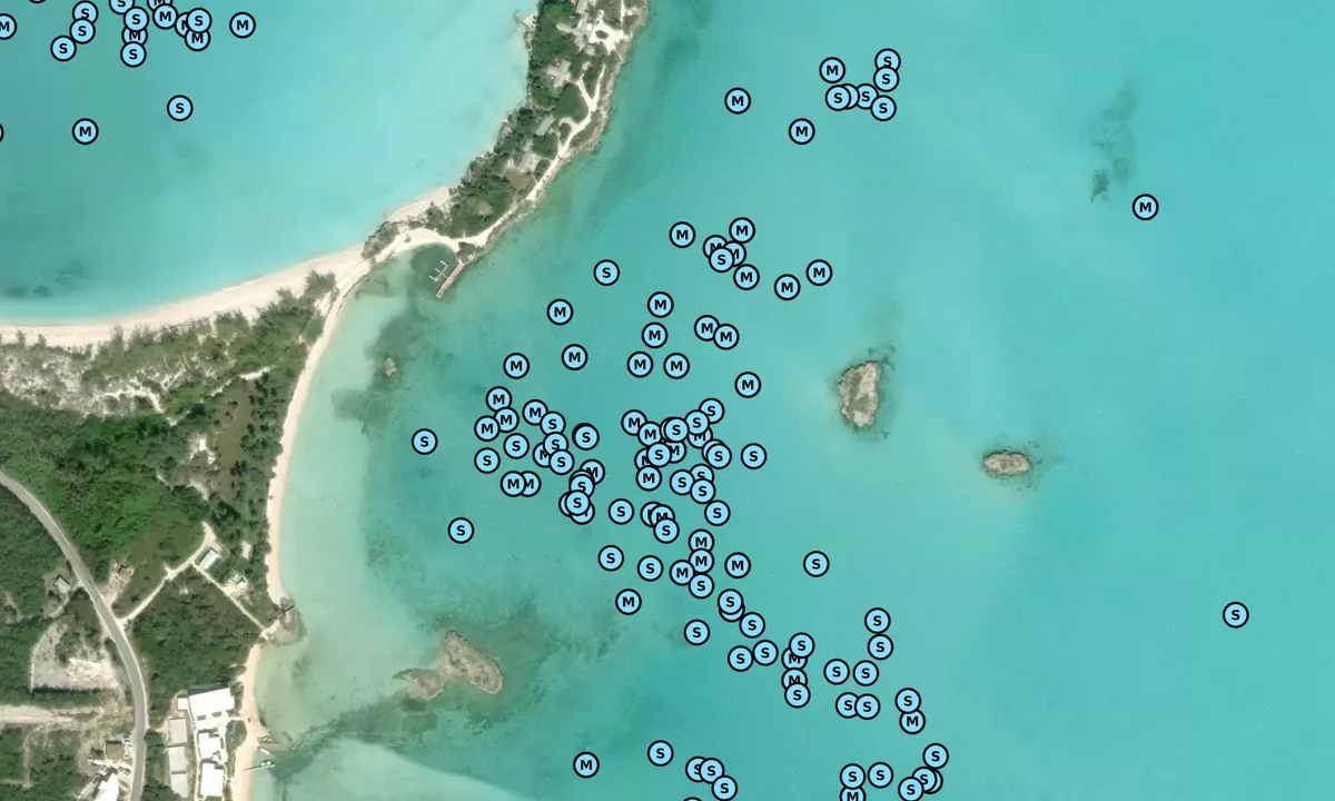Satelite image of Goat Cay South